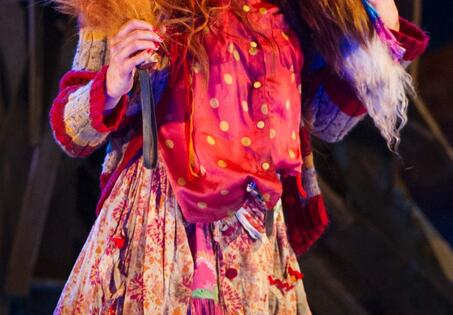 Cunning Little Vixen